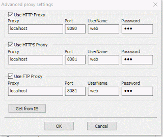 IDM advanced proxy settings