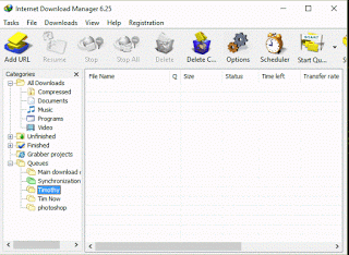 Internet Download Manager