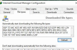 Internet Download Manager File Type