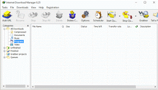 Internet Download manager