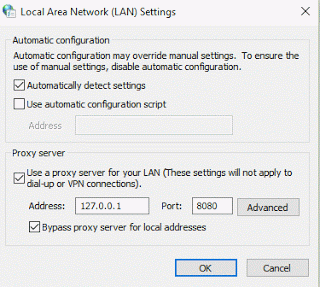 LAN proxy settings