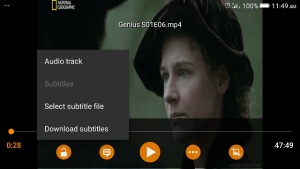 VLC Subtitle Options