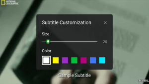 XPlayer Subtitle Customization