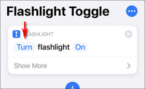 Tap the word “Turn” from the “Turn flashlight on” phrase.