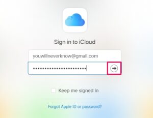 Sign into iCloud