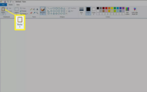 Paste the screenshot in Paint
