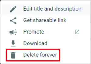 Select Delete Forever