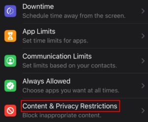 Tap Content & Privacy Restrictions