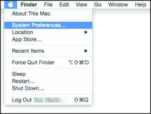 Click System Preferences