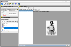 How to Extract Images from PDF