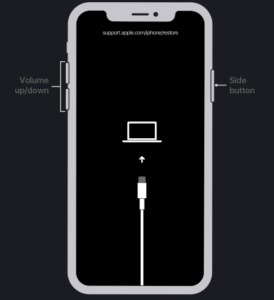 Phone 8 Recovery Mode; Source: alphr.com