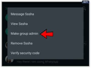 Tap Make Group Admin; Source: alphr.com