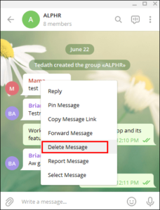 Click Delete Messages; Source: alphr.com
