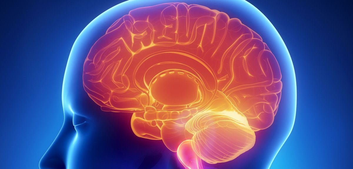 Best Brain Games for IOS
