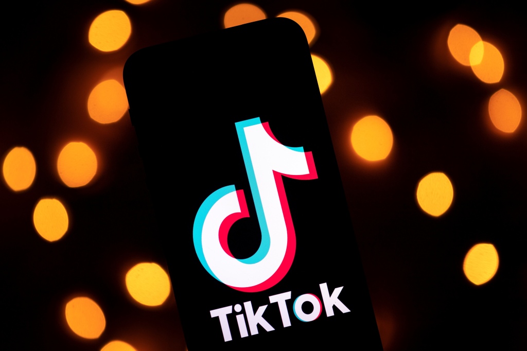How to Add a Link to your Bio on TikTok