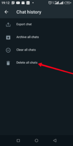Hit "Delete All Chats"; Source: About Device
