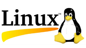 5 Best Linux Courses on Udemy