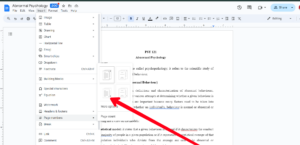 How to Number Pages in Google Docs 3 How to Number Pages in Google Docs 3